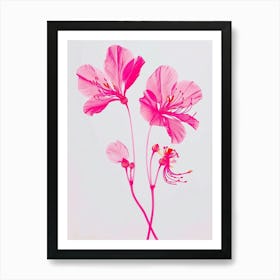 Hot Pink Peacock Flower 2 Art Print