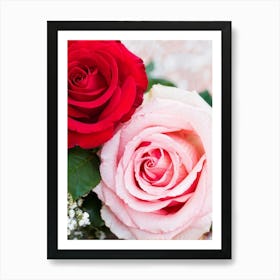 A Closeup Of A Rose The Archetype Of Romance And Beauty Rendered In Vibrant Hues Such As Tender Pi (4) Art Print