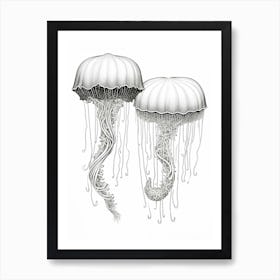 Mauve Stinger Jellyfish Drawing 1 Art Print