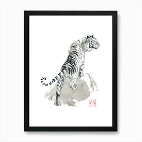 Tiger On The Rocks Art Print