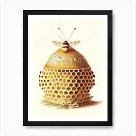 Propolis Beehive 1 Vintage Art Print