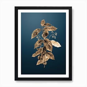 Gold Botanical Broadleaf Spindle on Dusk Blue n.0856 Art Print