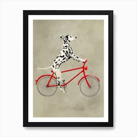 Dalmatian On Bicycle Art Print