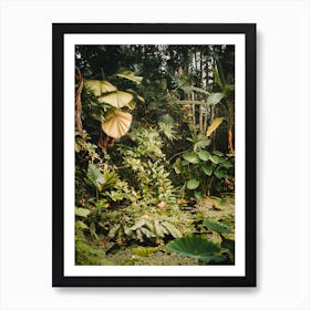 Little botanical jungle garden | Tropical | Hortus Botanicus | Amsterdam Art Print