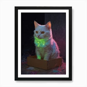 Cat In A Box 4 Art Print