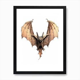 Big Brown Bat Vintage Illustration 2 Art Print