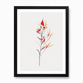 Firethorn Floral Minimal Line Drawing 4 Flower Art Print