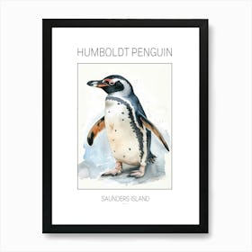 Humboldt Penguin Saunders Island Watercolour Painting 4 Poster Art Print