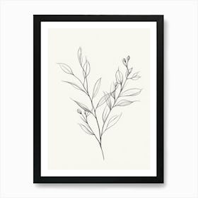 Drawing Of A Branch Art Print