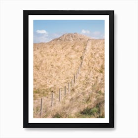 Fence And Dunes Art Print