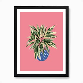 Calathea Triostar On Pink Art Print