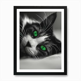 Green Eyes Cat Art Print