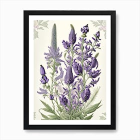 Lavender Floral 3 Botanical Vintage Poster Flower Art Print