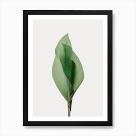 Tropical Green Leaves Art Print
