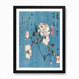 Cherry Blossoms 11 Art Print