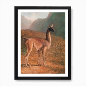 Llama Scenery Art Print