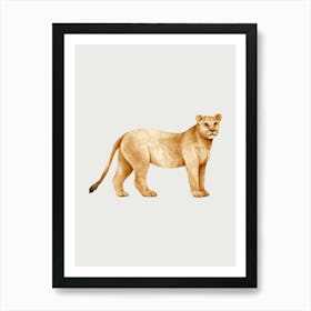 Lion. Art Print