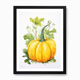 Delicata Squash Pumpkin Watercolour Illustration 1 Art Print