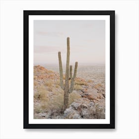 Saguaro Cactus Sunset Art Print