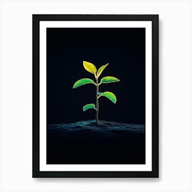 Image Of A Young Plant Art Print