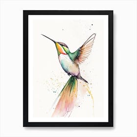 Buff Bellied Hummingbird Minimalist Watercolour Art Print