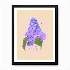 Lilac Botanical Art Print