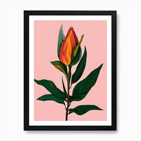 Tulip 3 Art Print