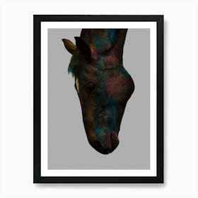 Graceful Equine Sip Colorful Horse Head Design Affiche