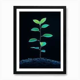 Green Plant Sprouting From The Ground 1 Art Print