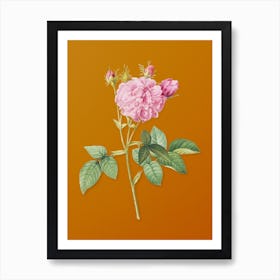 Vintage Pink Agatha Rose Botanical on Sunset Orange n.0323 Art Print