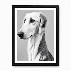 Saluki B&W Pencil Dog Art Print