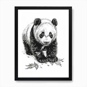 Giant Panda Cub Playing With A Fallen Leaf Ink Illustration 2 Art Print