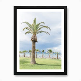 Palm Tree On The Beach Art Print