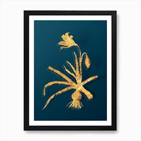 Vintage Amaryllis Broussonetii Botanical in Gold on Teal Blue n.0277 Art Print