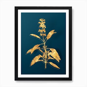 Vintage Sage Plant Botanical in Gold on Teal Blue n.0020 Art Print
