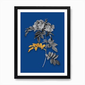 Vintage Shining Rosa Lucida Black and White Gold Leaf Floral Art on Midnight Blue n.1109 Art Print