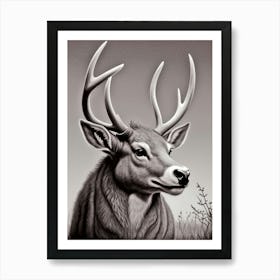 Deer Head 58 Art Print