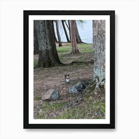 Squirrel On The Lake Art Print