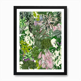 House Plants Jungle 3 Art Print