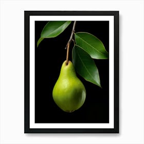 Pear 5 Art Print