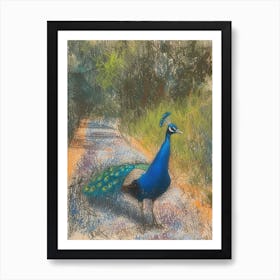 Peacock On The Path Scribble Portrait 2 Art Print