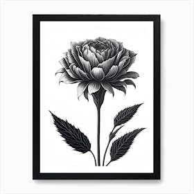 A Carnation In Black White Line Art Vertical Composition 33 Art Print