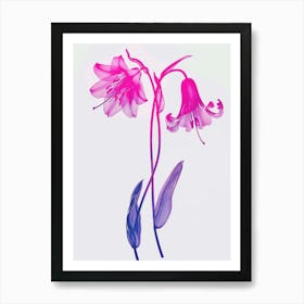 Hot Pink Bluebell 1 Art Print