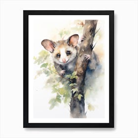 Light Watercolor Painting Of A Hanging Possum 4 Art Print