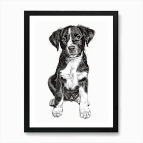 Entlebucher Mountain Dog Line Sketch 3 Art Print