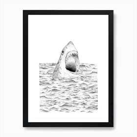 Shark  Art Print