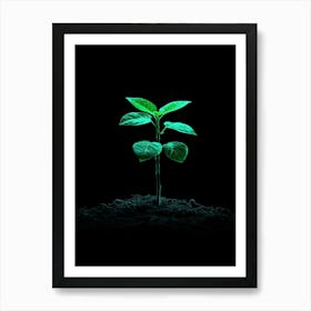 Green Plant On Black Background 2 Art Print