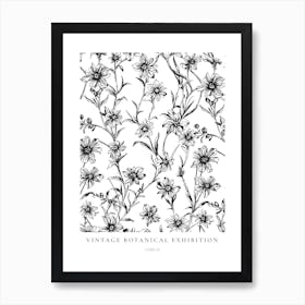 Lobelia B&W Vintage Botanical Poster Art Print