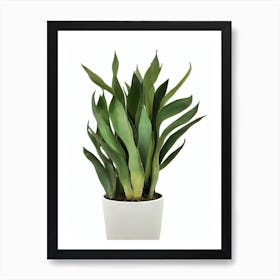 Mother In Law'S Tongue Or Snake Plant (Sansevieria Trifasciata) Watercolor Art Print