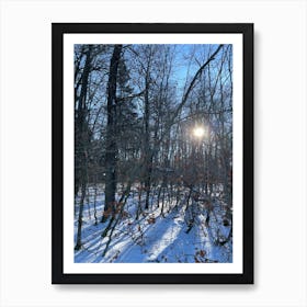 Sun Shines Through The Woods Art Print